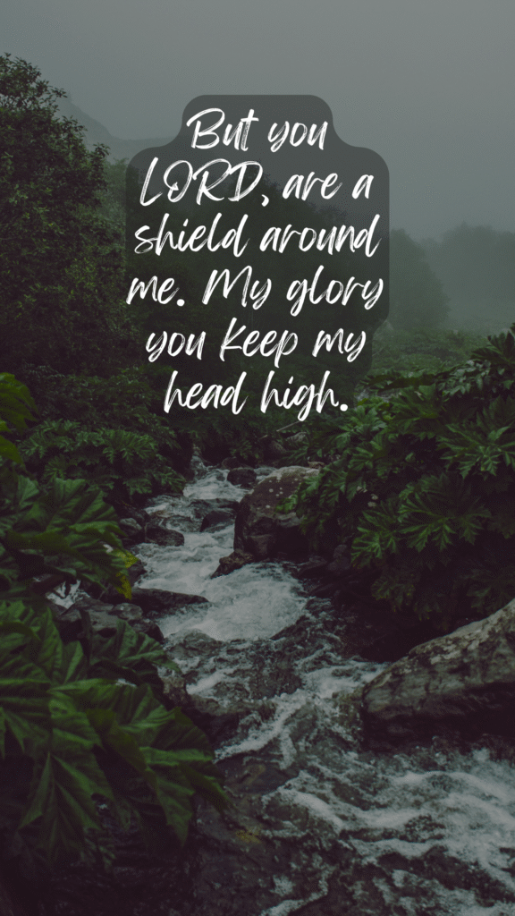 phone wallpaper download But you LORD are a shield around me my glory you keep my head high mountains forest river water rock green mist plants trees stream psalm 3